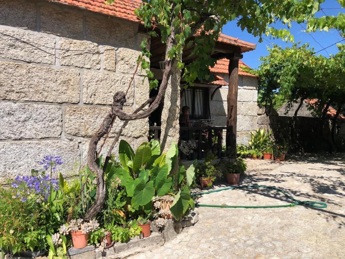 Casa Campo Villa Amarante Bagian luar foto